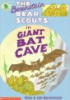 Book cover for "The Berenstain Bear Scouts in giant bat cave".