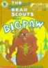 Book cover for "The Berenstain Bear Scouts meet bigpaw".