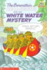 Book cover for "The Berenstain Bear Scouts and the white-water mystery".